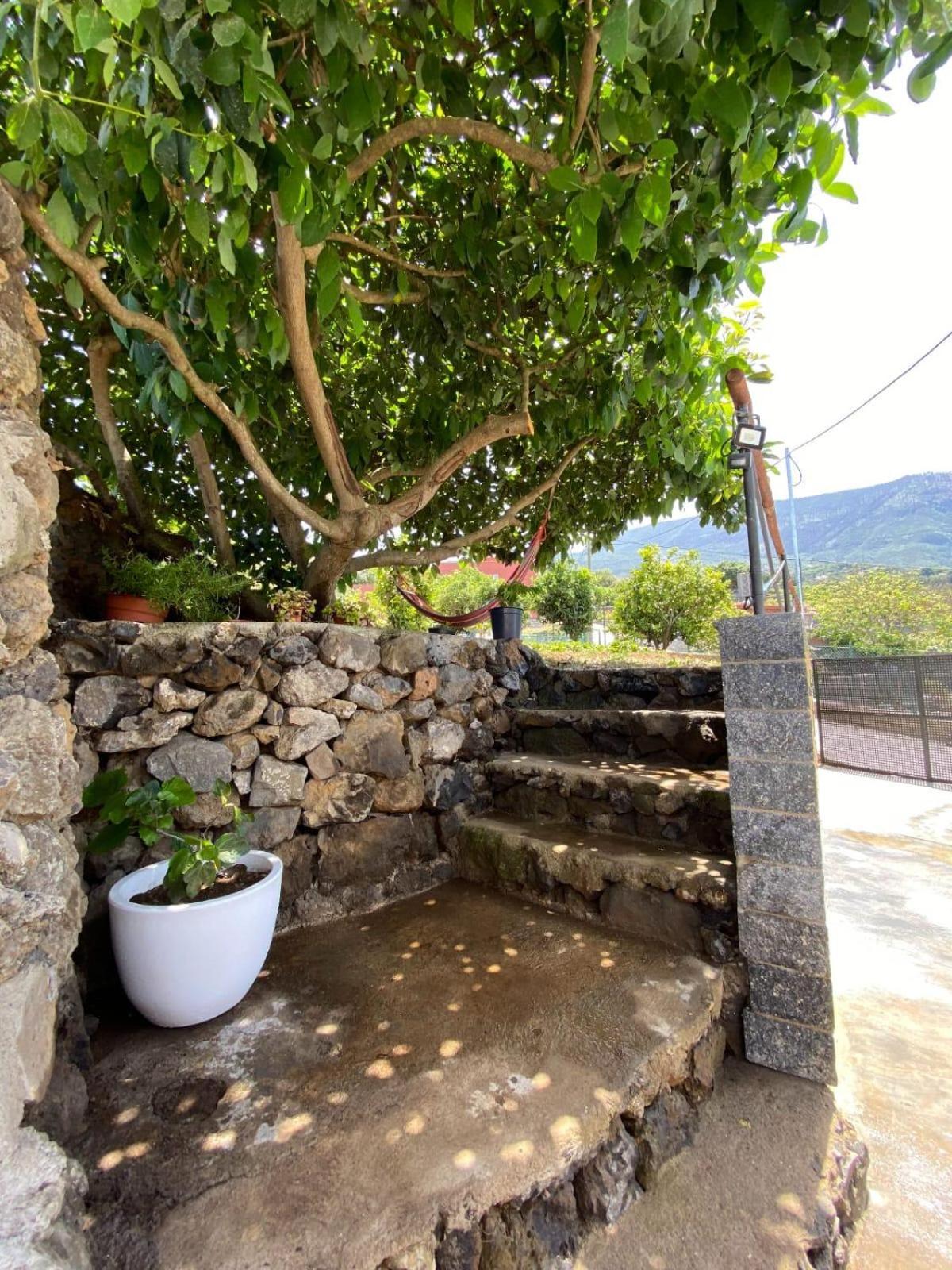 Villa Perejil Realejo Alto Exteriér fotografie